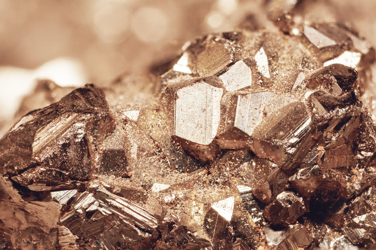Imperial Gold: Loft's New Champagne Gold
